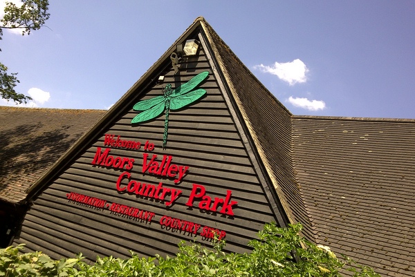 Moors Valley Country Park and Forest