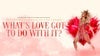 What's Love Got to do With it - Tina Turner Tribute