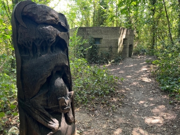 Wartime Pillbox Transformed into a Sanctuary for Bats