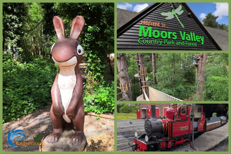 What&#039;s New at Moors Valley Country Park and Forest?