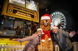 Take a Magical Christmas Lights Tour Around Bournemouth
