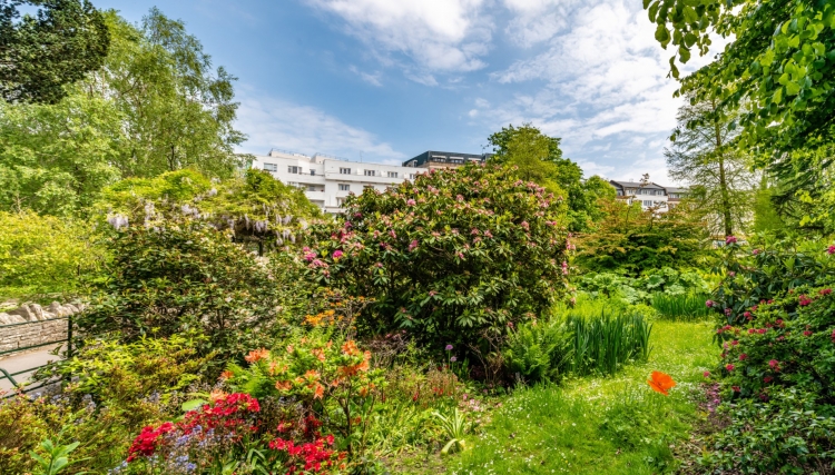 Bournemouth, Christchurch and Poole declared country's first 'Nature Towns'