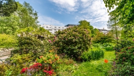 Bournemouth, Christchurch and Poole declared country&#039;s first &#039;Nature Towns&#039;