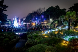 Christmas Tree Wonderland To Return to Bournemouth