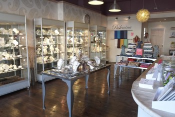 Sugar Mango Sugar Mango